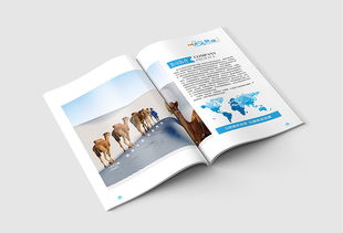 企業(yè)畫冊(cè) 公司簡(jiǎn)介 產(chǎn)品畫冊(cè) 科技畫冊(cè) 商務(wù)畫冊(cè)