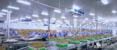 讓職工做企業(yè)的主人,河北光明九道菇暢通廠務(wù)公開(kāi)渠道